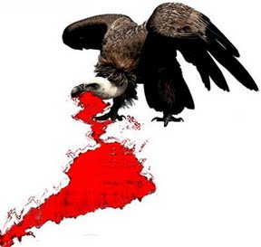 condor.jpg