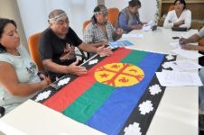 mapuche_leufu.jpg