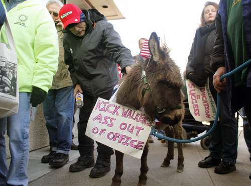 eeuuwisconsinmarzoburro.jpg