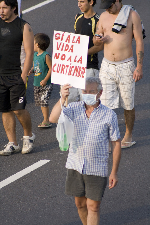 curtasa.jpg