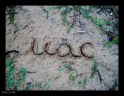 uac_15.jpg