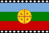 mapuches_bandera.jpeg
