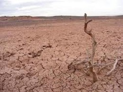desertificacion.jpg