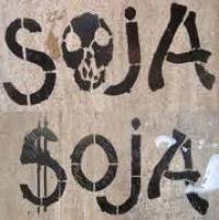 soja.jpg