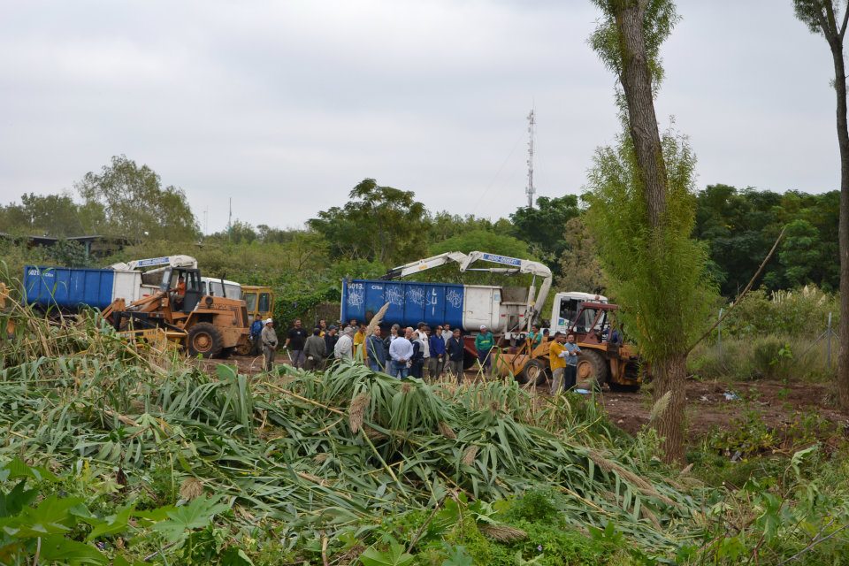 desmonte_bosque_alegre.jpg