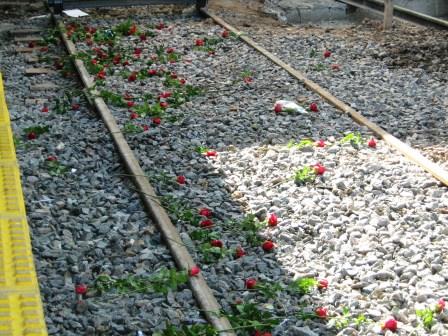 once_vias_flores.jpg