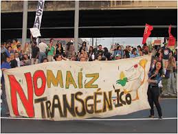 mexicoprohibenmonsanto_2.jpg