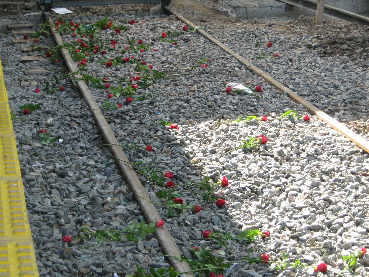 masacre_once_red_eco_04.jpg