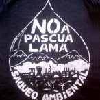 chiledetienenpascua-lama_1.jpg