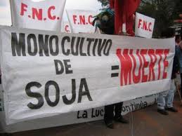 uruguaysoja.jpg