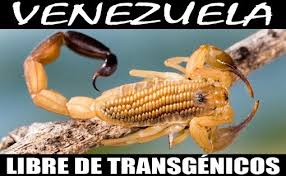 venezuela_libre_transgenicos.jpg