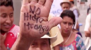 colombiamovimientorosvivos_de_medellnamenazados_1.jpg