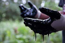 ecuador_chevron_1.jpg