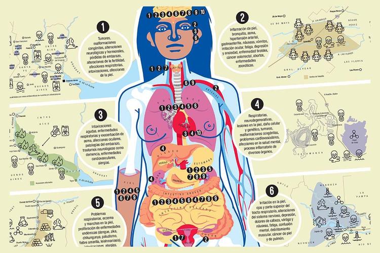 cuerpo extractivismo completa