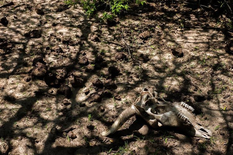 sequia santiagodelestero