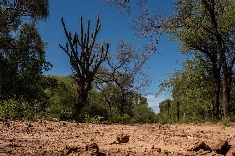 sequia santiagodelestero1