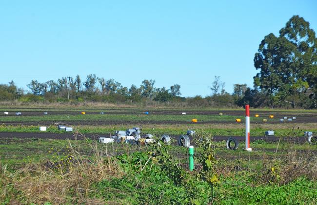 bidones en campos