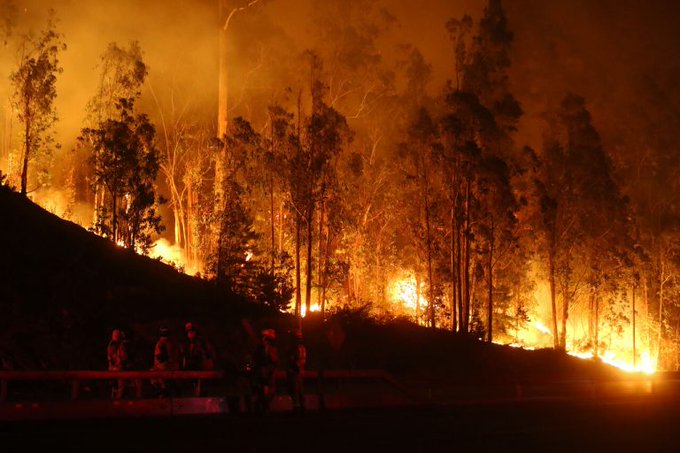 2023 chile incendios3