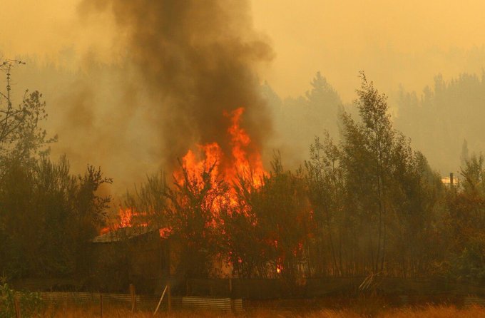 2023 chile incendios6