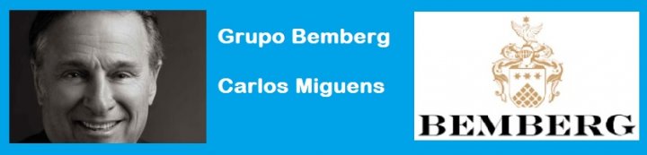 grupo bemberg miguens
