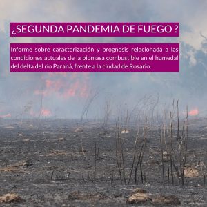 segunda 300x300