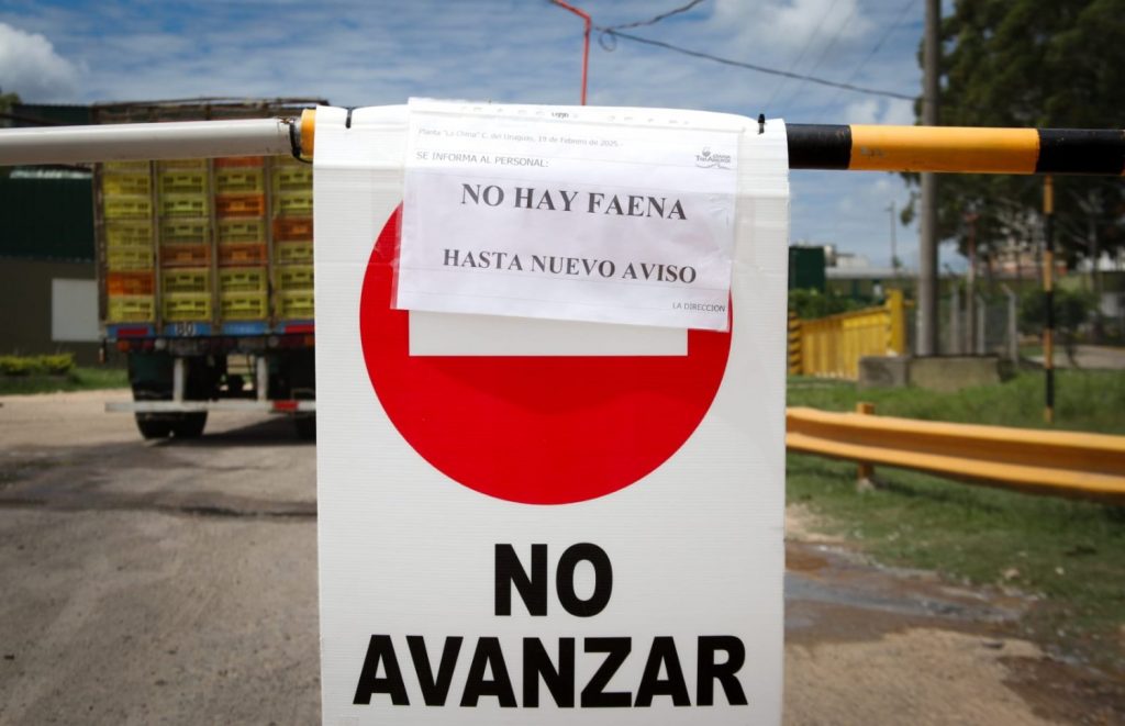 2025 concepcion uruguay granja 3 arroyos1