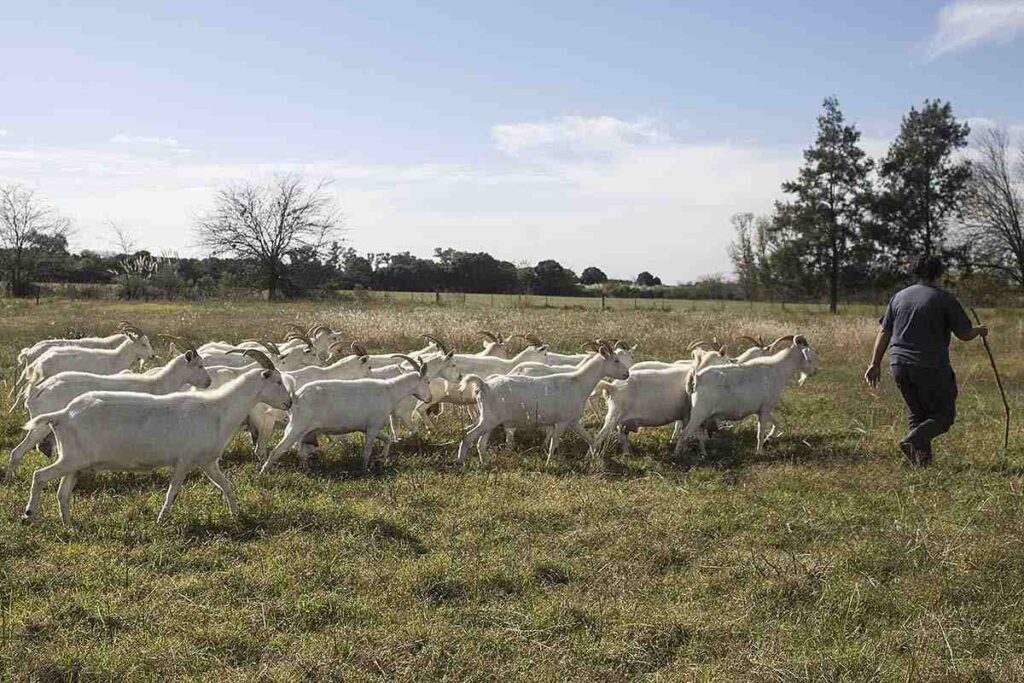 2025 eliminación instituto agricultura familiar1