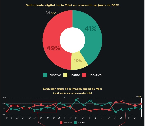 2025 imagen Milei cae3