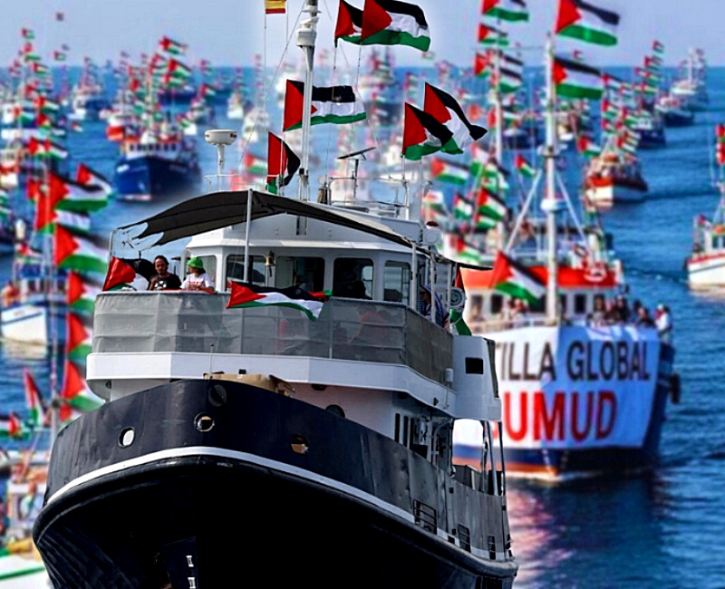 Liberaron a toda la flotilla